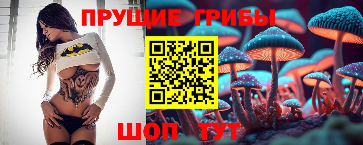 Галлюциногенные грибы Psilocybine cubensis  Вход с VPN  Севастополь 