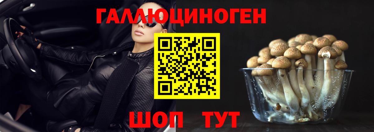 Галлюциногенные грибы GOLDEN TEACHER Севастополь